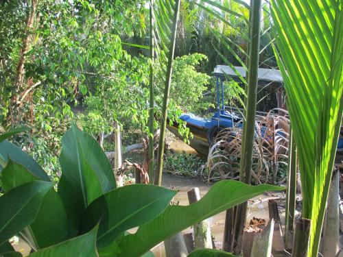 a blue tractor in the middle of a forest at Homestay Xóm Dừa Nước in Ben Tre