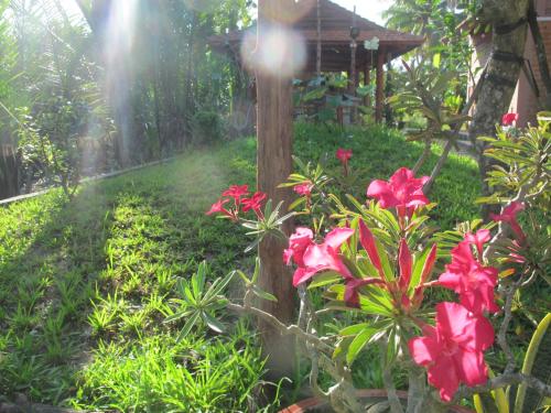 a garden with red flowers in front of a house at Homestay Xóm Dừa Nước in Ben Tre