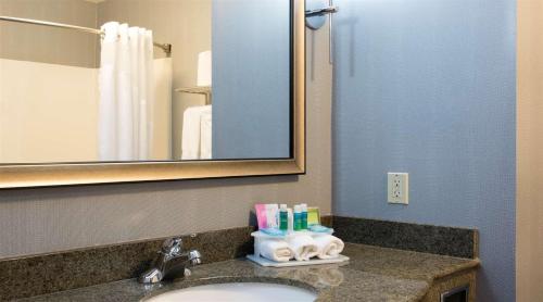 a bathroom with a sink and a mirror at Holiday Inn Express & Suites Danville, an IHG Hotel in Danville
