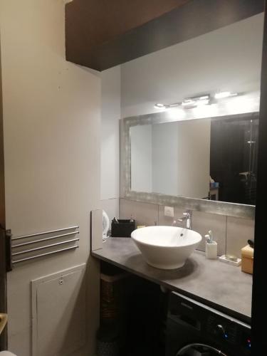 塔朗斯的住宿－T2 chaleureux sur talence，浴室设有白色水槽和镜子