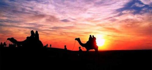 Anantra Resort Jaisalmer – Photos 4