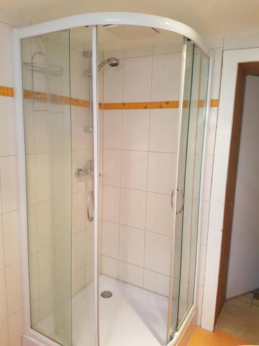 y baño con ducha y puerta de cristal. en Zimmervermietung Cottbusser Ostsee, en Cottbus
