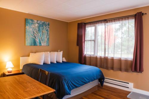 a bedroom with a blue bed and a window at Lakeview Motel in Christina Lake