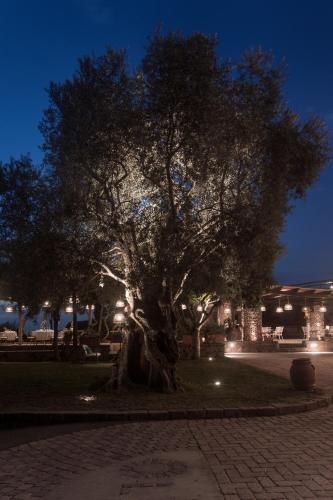 Fotografie z fotogalerie ubytování Oasi Olimpia Relais v destinaci SantʼAgata sui Due Golfi
