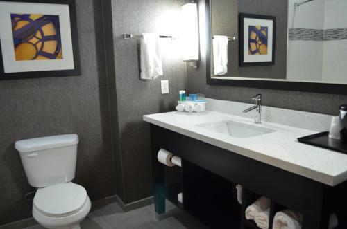 a bathroom with a white toilet and a sink at Holiday Inn Longview - North by IHG in Longview