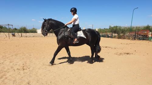 a person riding a black horse on the sand at Agriturismo Duca di San Martino in Partanna