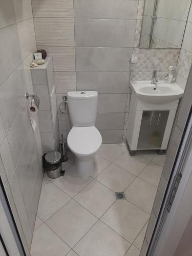 a bathroom with a toilet and a sink at Apartment RELAX in Ruse
