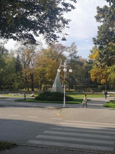 a person walking past a statue in a park at Villa Solankowa in Inowrocław
