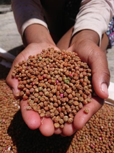a person holding a handful of food in their hands at Ciza e Rose in Portela