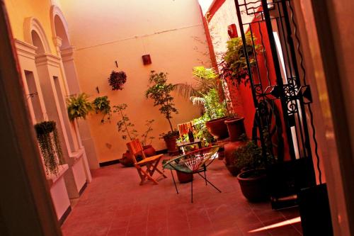 a hallway filled with lots of potted plants at Hostel Hospedarte Centro in Guadalajara