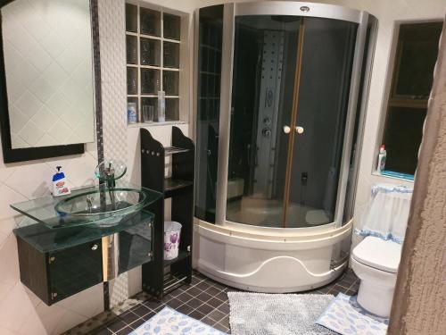 a bathroom with a shower and a sink and a toilet at Home Feeling Guesthouse in Port Shepstone