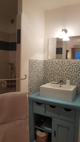 ein Bad mit einem Waschbecken und einem Spiegel in der Unterkunft Chambre d'hôte Montlivault / Chambord in Montlivault