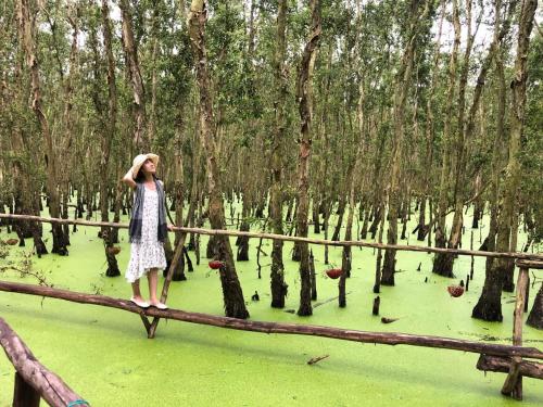 a woman standing on a wooden bridge in a swamp at Hương Tràm Homestay in Hồ Ðá