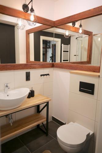 a bathroom with a sink and a toilet and a mirror at Aparthotel Narciarska 2 in Korbielów