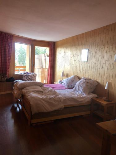 1 dormitorio con 2 camas y ventana en Anzère skis - promenade, en Anzère