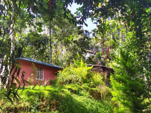 une maison rouge au milieu d'une forêt dans l'établissement Pepper county farm stay, à Munnar