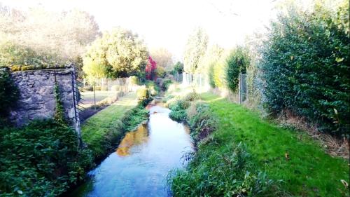 a view of a river with grass and trees at Millygite Chalet-on-wheels by the river in Milly-la-Forêt