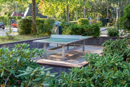 Πινγκ πονγκ στο Casita Boschberg ή εκεί κοντά
