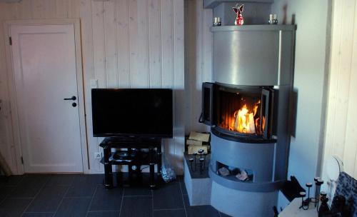 a living room with a fireplace and a television at Regnbuegården in Røros
