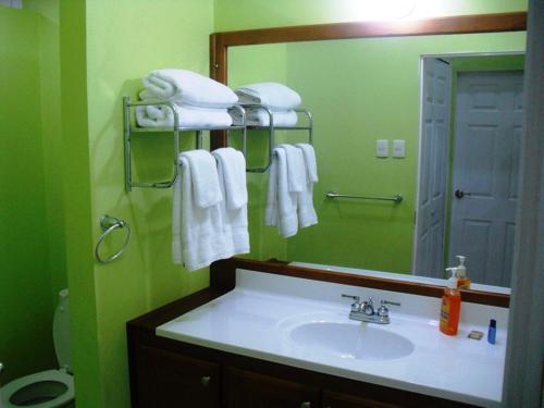 a bathroom with a sink and a mirror at Piarco Village Suites in Piarco