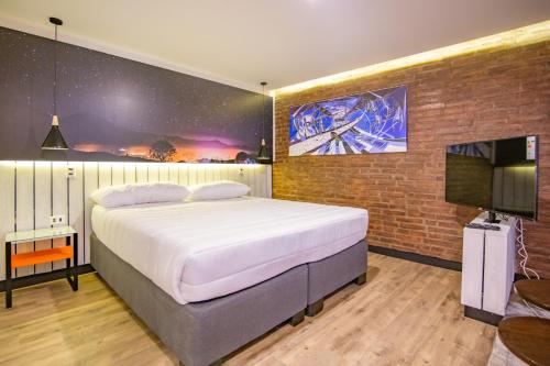 a bedroom with a large bed and a tv at Hostal Boutique Black Cat in Santiago