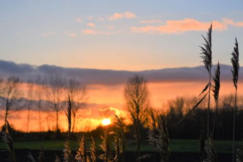 a sunset in a field with trees in the foreground at Vakantiewoning Lescaut in Hamme