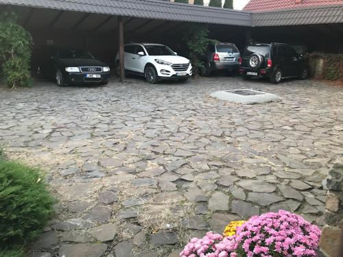 Imagen de la galería de Adonis, en Uzhhorod