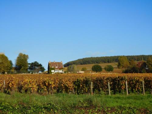 Gallery image of La Passerelle des Corton B&B in Aloxe-Corton