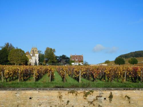 Gallery image of La Passerelle des Corton B&B in Aloxe-Corton