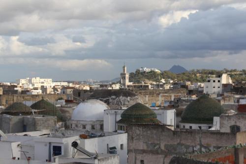 Blick auf eine Stadt mit Kuppeln und Gebäuden in der Unterkunft Maison du 18ème Siècle in Tunis