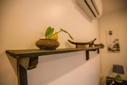 a shelf with two plants on a wall at Moloppor Villa in Battambang