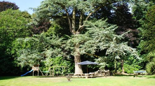 a park with a tree with a swing and a playground at Chateau Le Val in Brix