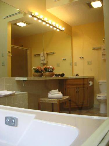 a bathroom with a sink and a large mirror at Cathedral Ledge Resort in North Conway