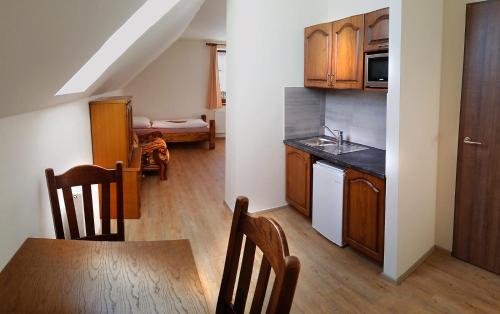 Kuchyň nebo kuchyňský kout v ubytování Apartmány Šachty