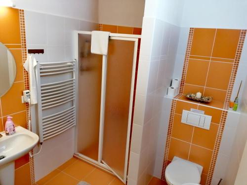 a bathroom with a shower and a toilet and a sink at Apartmán FuFu in Prostřední Lánov