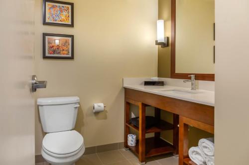 Afbeelding uit fotogalerij van Comfort Inn & Suites Amish Country in Gap