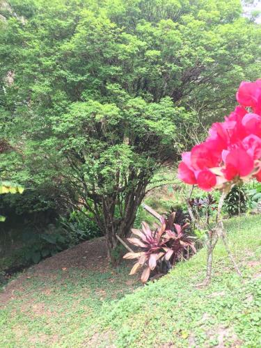Taman di luar Vila da Sol Itaipava casas e estúdios