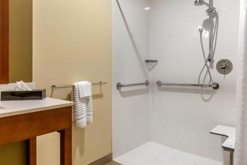 a bathroom with a shower and a sink at Comfort Inn & Suites Gap Amish Country in Gap