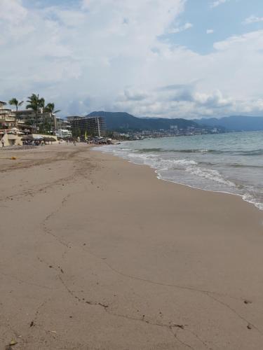 a sandy beach with the ocean and palm trees at El Sunset Hostel in Puerto Vallarta