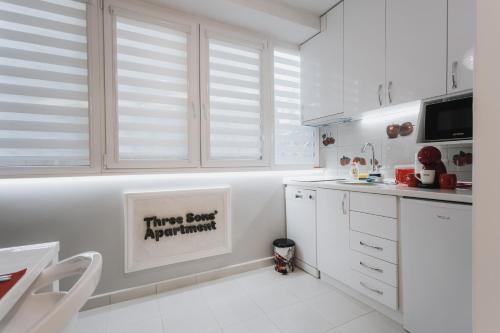 Kuchyň nebo kuchyňský kout v ubytování Three Sons Apartment