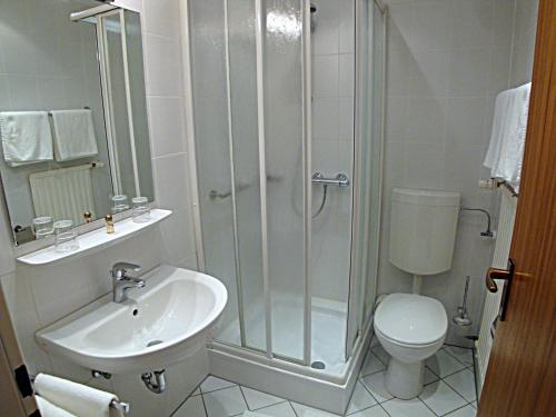 een badkamer met een douche, een wastafel en een toilet bij Hotel Gasthof Herderich in Schlüsselfeld