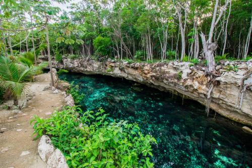 Cenotes Casa Tortuga Tulum
