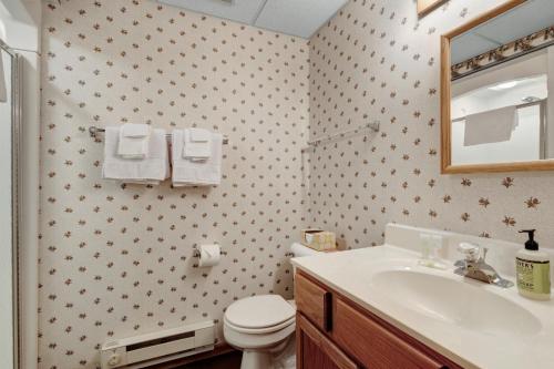 a bathroom with a sink and a toilet and a mirror at Hotter's Cabin in Sayner