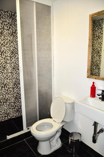 a bathroom with a toilet and a shower and a sink at El Patagónico Hostel in Puerto Natales