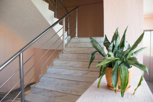 a staircase with a potted plant sitting next to it at Astana Hotel in Almaty