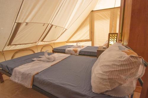 2 Betten in einem Zelt mit Handtüchern darauf in der Unterkunft The Acacia Glamping Park in Carmen