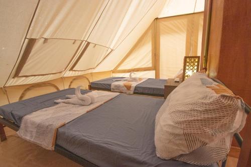 Postel nebo postele na pokoji v ubytování The Acacia Glamping Park