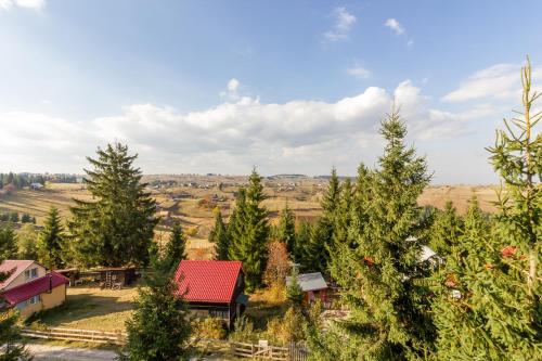 an aerial view of a forest of trees at Agropensiunea Mara in Mărişel