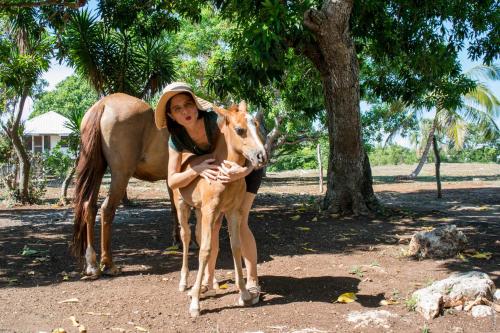a woman hugging a baby horse next to a horse at Horse Cottage in Sarteneja