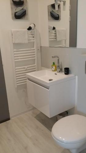 Koupelna v ubytování Chambre spacieuse, moderne et très confortable à Perros-Guirec